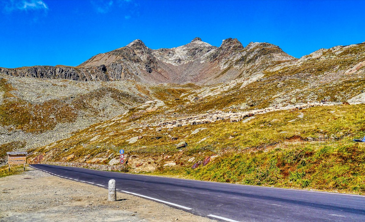 The summit of the Passo di Gavia at 2,652 m