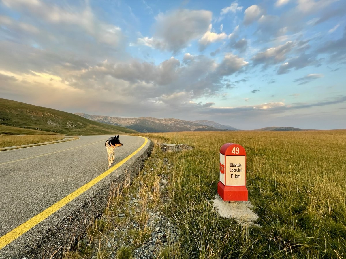Urdele Pass, the high point of the Transalpina at 2,145 m